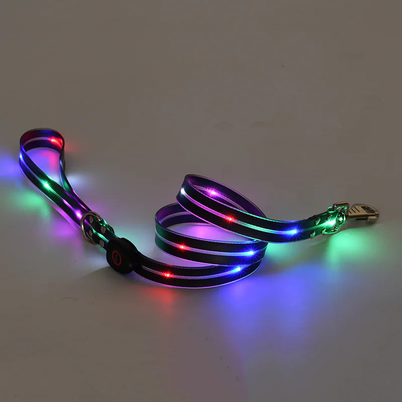 LED Rechargeable Pet Collar