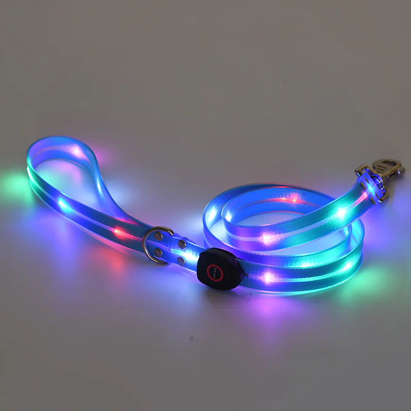 LED Rechargeable Pet Collar