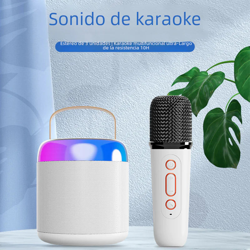 Portable Bluetooth Speaker with Microphone for KTV