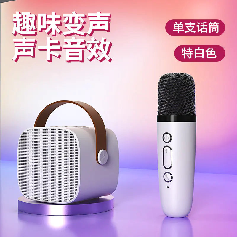 Portable Bluetooth Speaker with Microphone for KTV