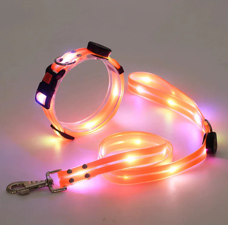 LED Rechargeable Pet Collar