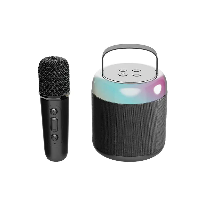 Portable Bluetooth Speaker with Microphone for KTV