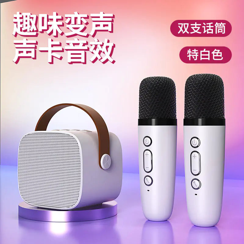 Portable Bluetooth Speaker with Microphone for KTV