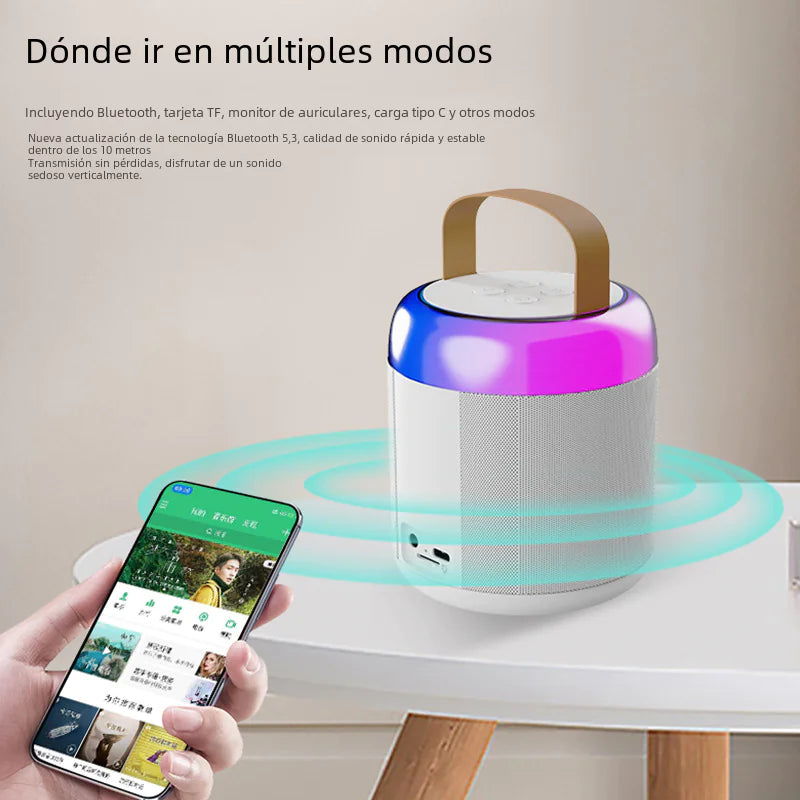 Portable Bluetooth Speaker with Microphone for KTV