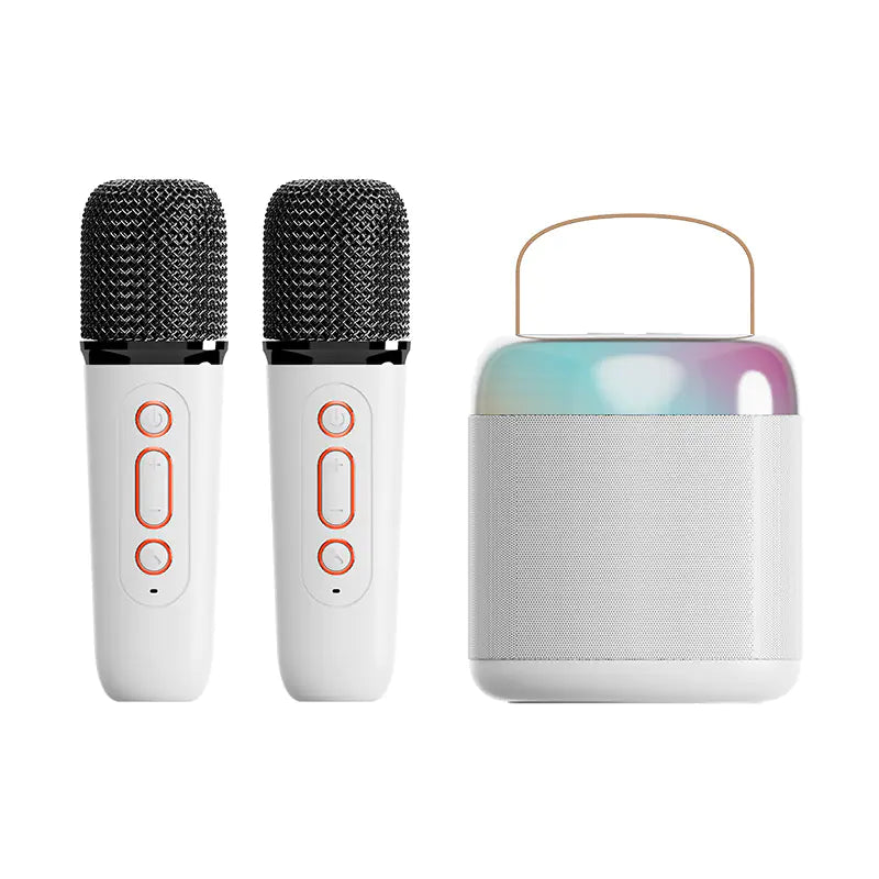 Portable Bluetooth Speaker with Microphone for KTV