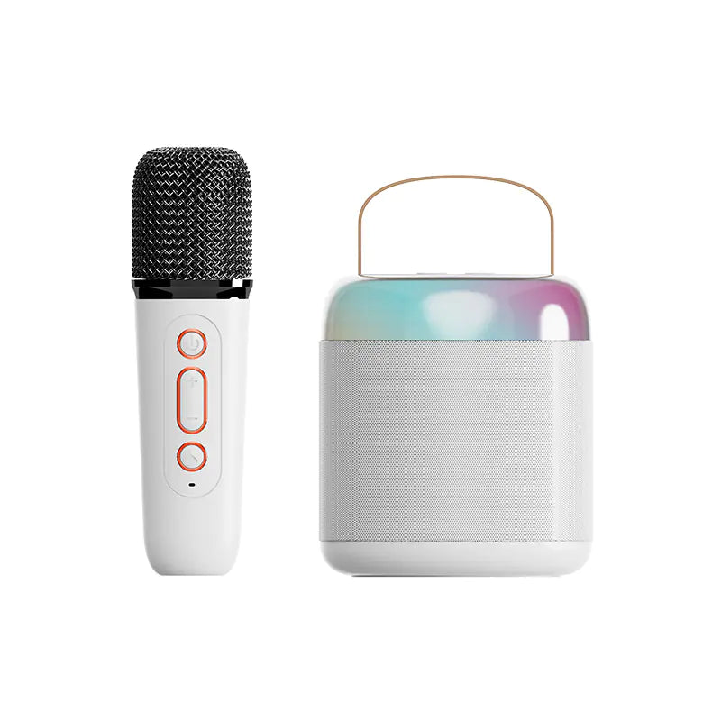 Portable Bluetooth Speaker with Microphone for KTV