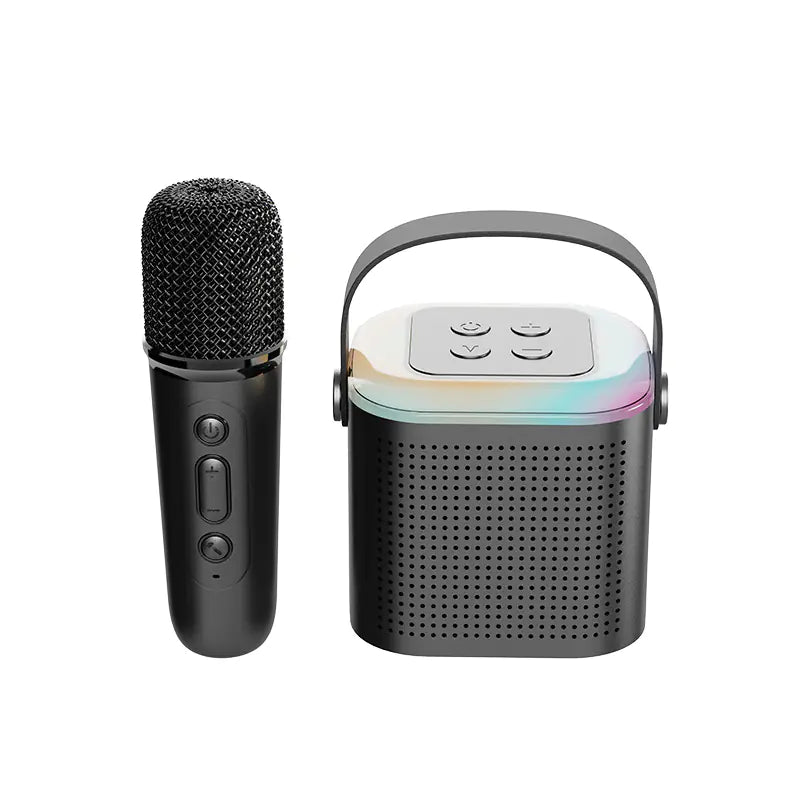 Portable Bluetooth Speaker with Microphone for KTV