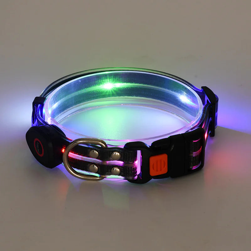 LED Rechargeable Pet Collar