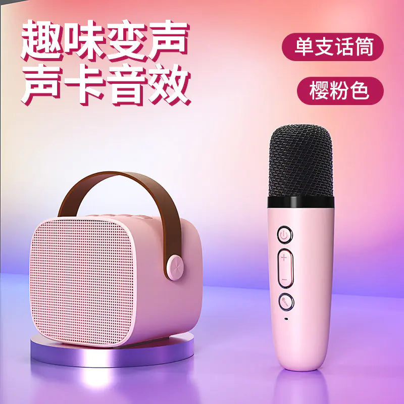 Portable Bluetooth Speaker with Microphone for KTV