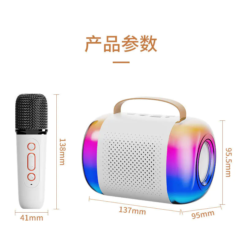 Portable Bluetooth Speaker with Microphone for KTV